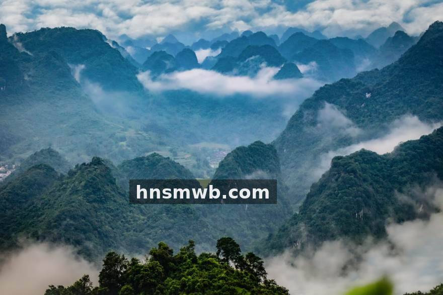 球员表现观察：球速体育分析年轻球员成长路径